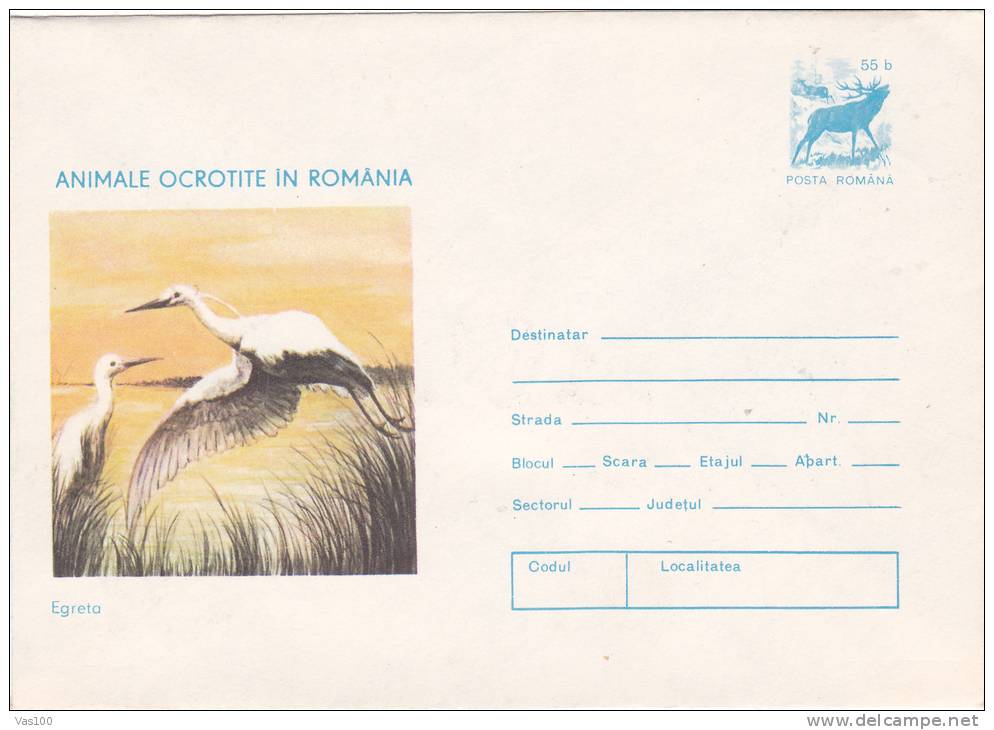 BIRDS, CYGOGNES, 1977, COVER STATIONERY, ENTIER POSTAUX, UNUSED, ROMANIA - Cigni