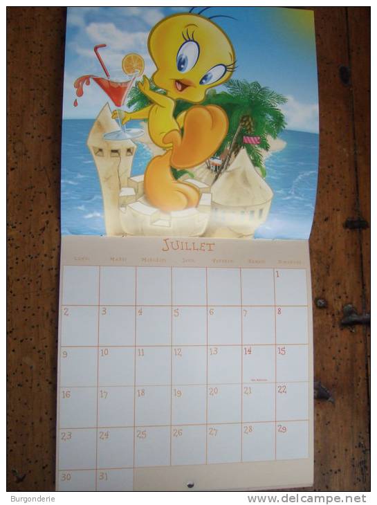 TRES JOLI CALENDRIER  /  LOONEY TUNES / 2007 - Petit Format : 2001-...