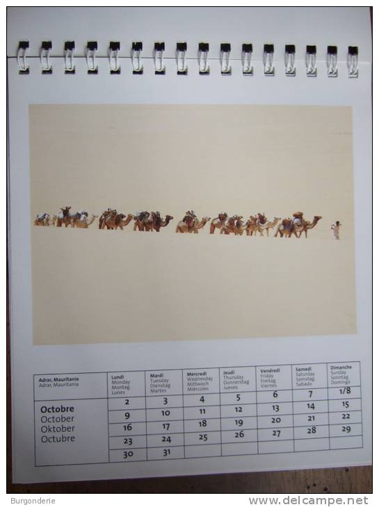 TRES JOLI CALENDRIER CHEVALET / DESERTS / 2006 / EDITIONS DU DESASTRE - Petit Format : 2001-...