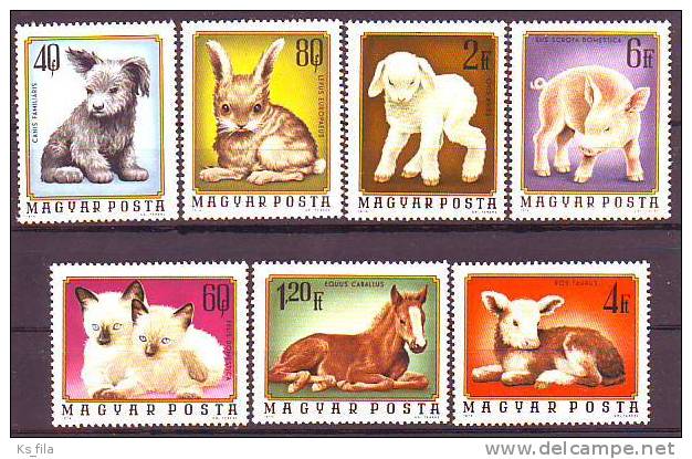 HUNGARY - 1974. Young Animals - MNH - Ungebraucht