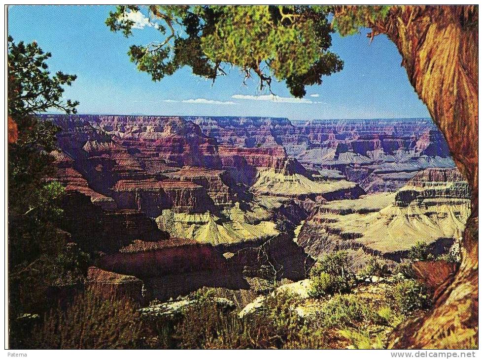 Postal, Gran Canyon, Arizona, Estados Unidos, Post Card - Grand Canyon