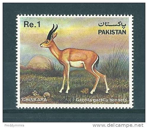 Pakistan:  574 **   Gazelle - Wild