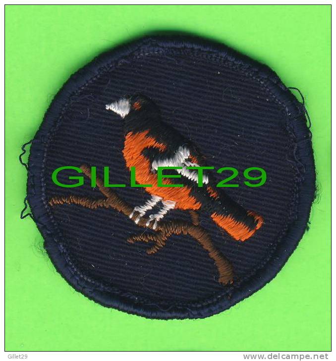 ÉCUSSON EN TISSU - SCOUTING  PATCHES - BIRD - SCOUTISME - OISEAU - - Scouting