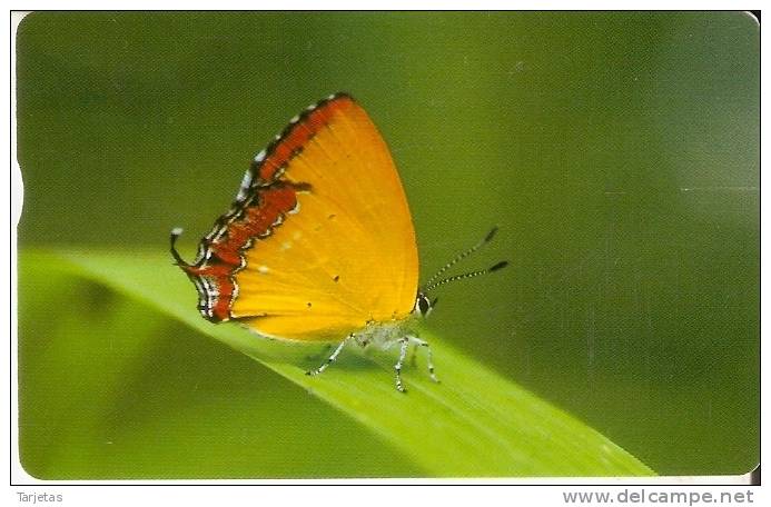 TARJETA DE TAIWAN DE UNA MARIPOSA (BUTTERFLY) - Farfalle