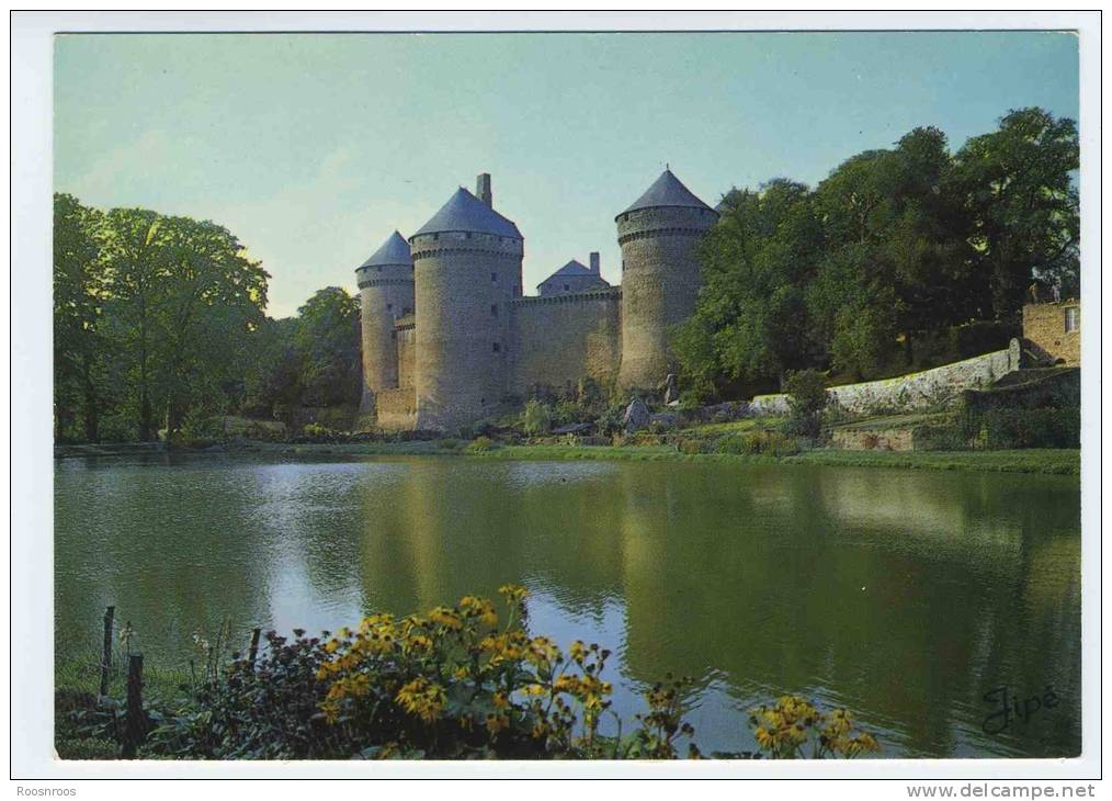 CP LASSAY 53 MAYENNE - LE CHATEAU - Lassay Les Chateaux