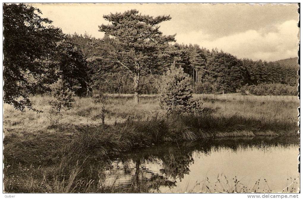 Libin L'etang Et Un Aspect Romantique - Libin