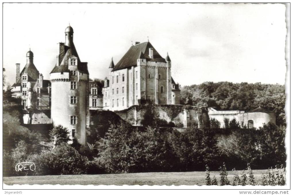 CPSM BONNES (Vienne) - Château De Touffou - Chateau De Touffou