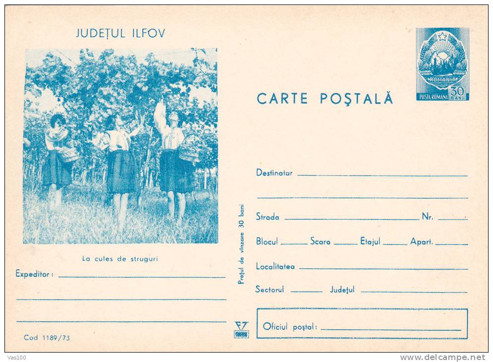 GRAPES HARVEST, 1973, VERY RARE, CARD STATIONERY, ENTIER POSTALE, UNUSED, ROMANIA - Wein & Alkohol