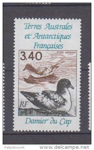 Terres Australes Et Antarctiques Françaises YV PA 121 N 1992 Damier - Albatrosse & Sturmvögel