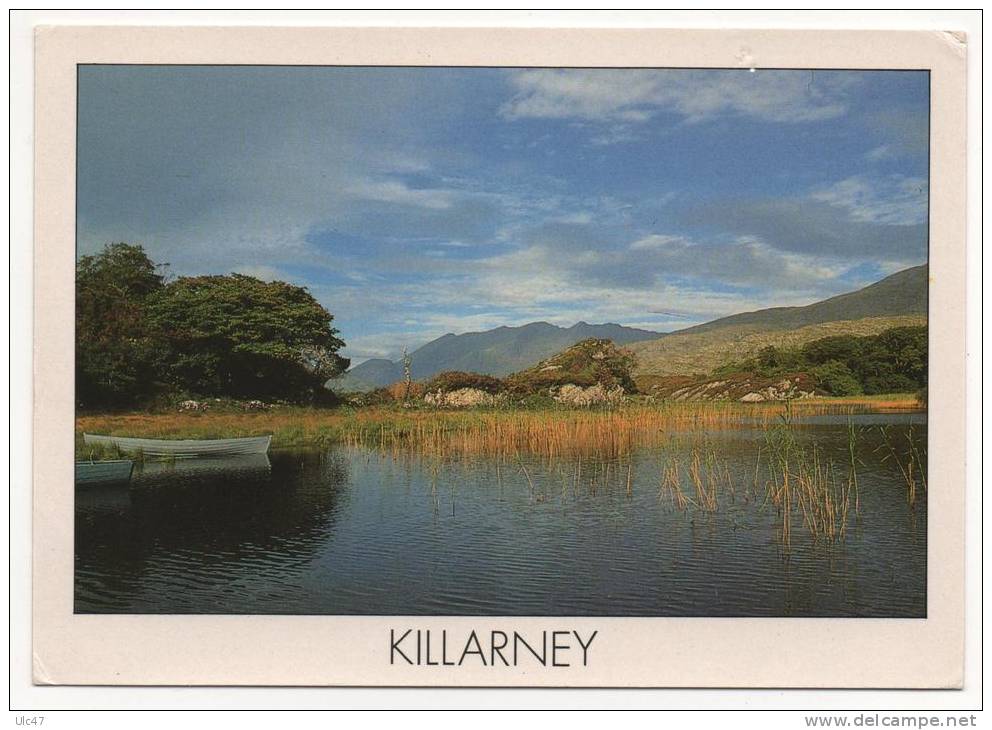 - KILLARNEY. - Photography: Peter ZÖLLER. - Timbre Neuf - Scan Verso - - Kerry