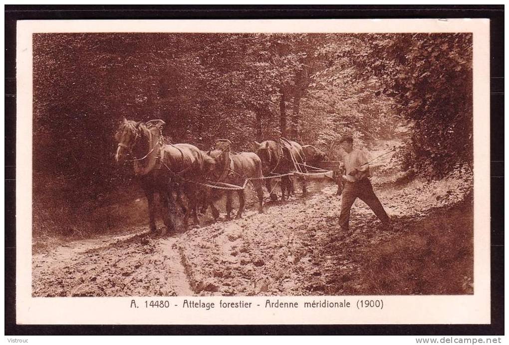 Attelage Forestier - Ardenne Méridionale - Non Circulé - Not Circulated - Nicht Gelaufen - 1900. - Other & Unclassified