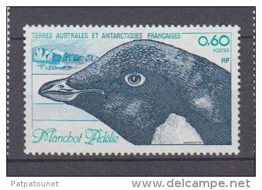 Terres Australes Et Antarctiques Françaises  YV 87 N 1980 Manchot - Pinguini