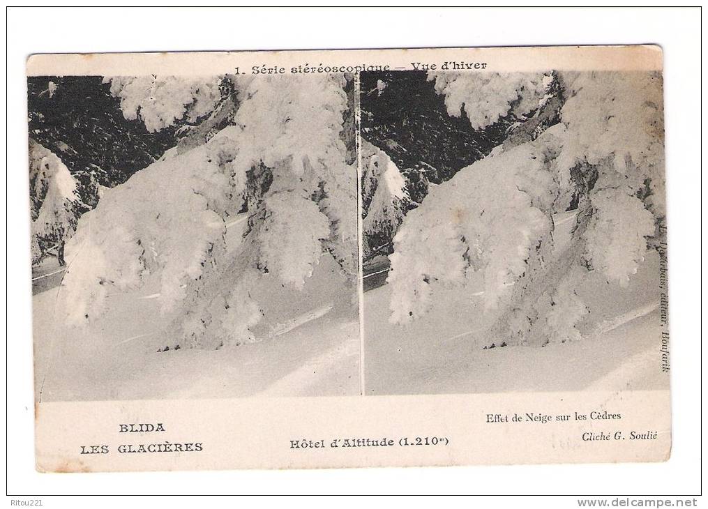 Algérie BLIDA Les Glacières - Hôtel D´Altitude - 1 Série Stéréoscopique - Vue D´Hiver - Effet De Neige Sur Les Cèdres - - Stereoscopische Kaarten