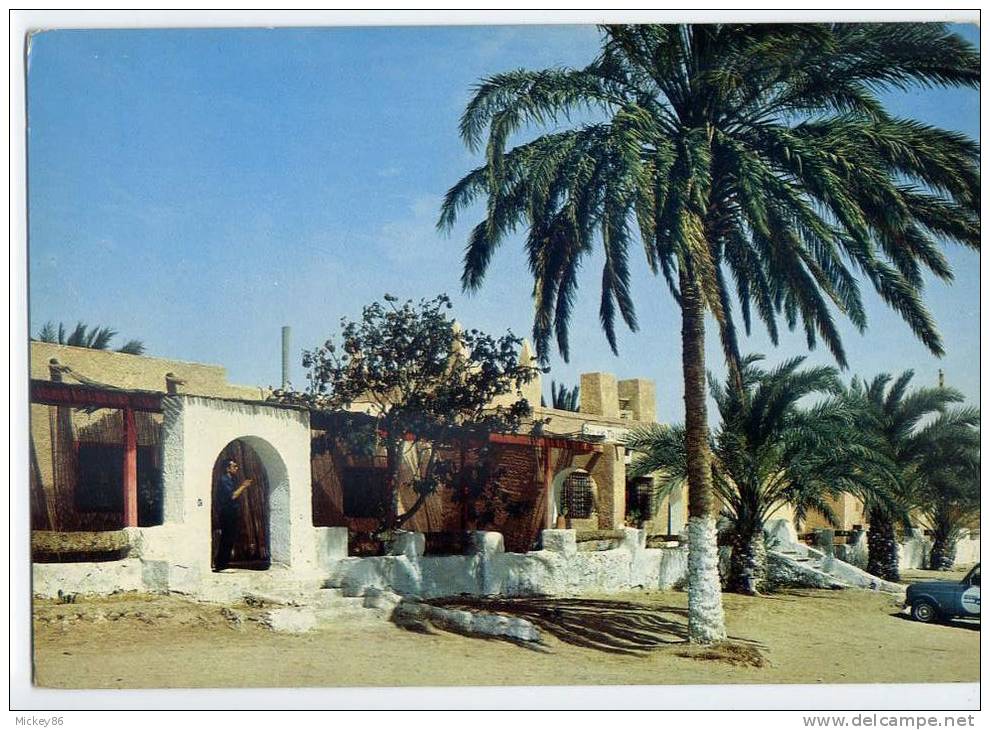 Algérie--OUARGLA--L´Hotel    (voiture ,palmier),cpm N° M 282 éd  SNED - Ouargla