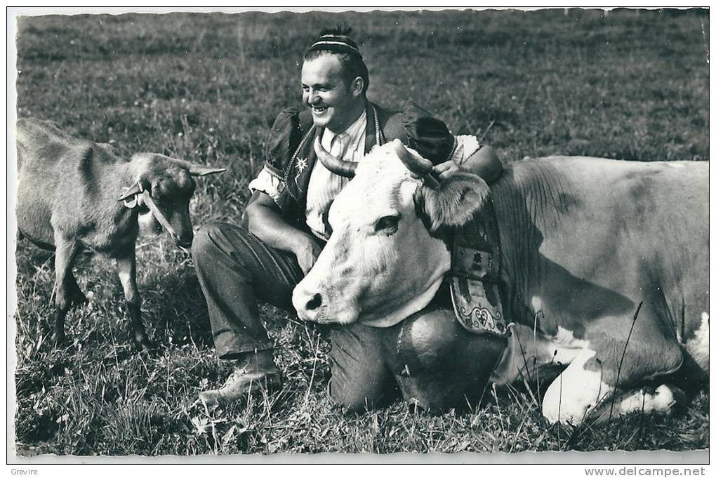 Armailli De La Gruyère, Vache, Chèvre - Elevage