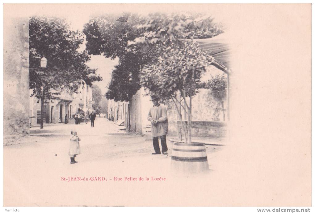 SAINT JEAN DU GARD " Rue Pellet De La Lozére " - Saint-Jean-du-Gard