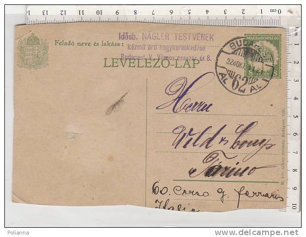 PO2073B# Cartolina Postale  VG Budapest 1928 - Hojas Completas