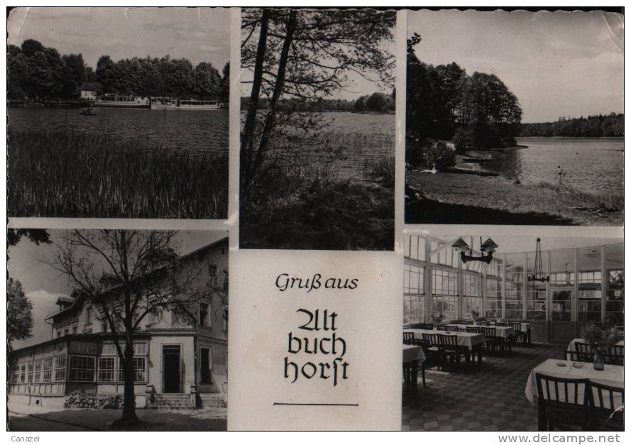 AK Altbuchhorst, Gasthaus Am Möllensee, K. Fleischmann, 1956 - Gruenheide