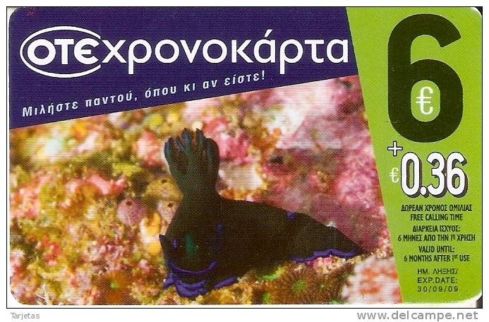 TARJETA DE GRECIA DE UN PEZ  DE COLORES   (PEZ-FISH) - Fische