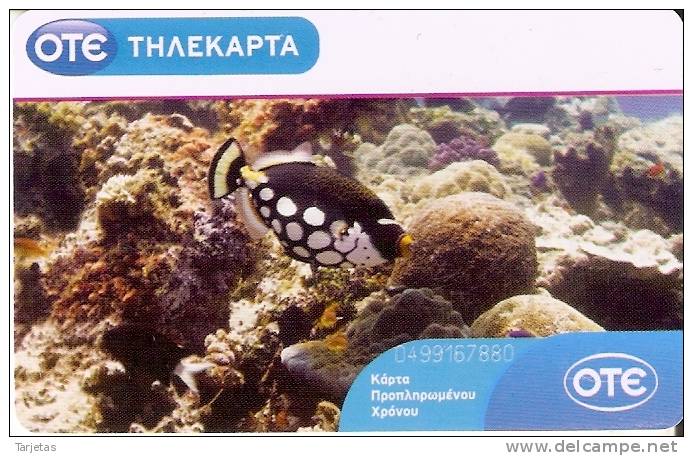 TARJETA DE GRECIA DE UN PEZ  DE COLORES   (PEZ-FISH) - Peces