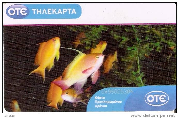 TARJETA DE GRECIA DE UNOS PECES  (PEZ-FISH) - Peces