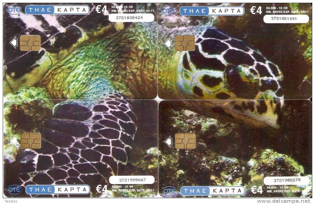 PUZZLE DE 4 TARJETAS DE GRECIA DE UNA TORTUGA (TURTLE) - Puzzles