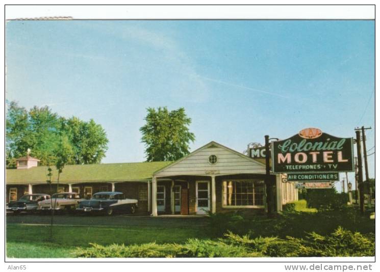 Springfield IL Illinois, Colonial Motel Lodging, Auto, C1950s Vintage Postcard - Springfield – Illinois