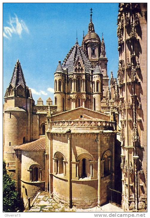 ESPAGNE  ESPAÑA SALAMANCA Catedral Vieja  Abside Y Torre Del Gallo 2 Scans - Salamanca