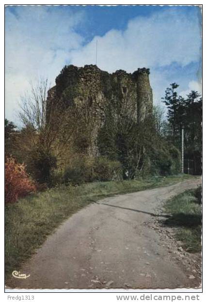 Pouzauges - Donjon Du Vieux Chateau - Pouzauges