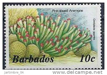 1985 BARBADES 608** Faune Marine, Anemone - Barbades (1966-...)