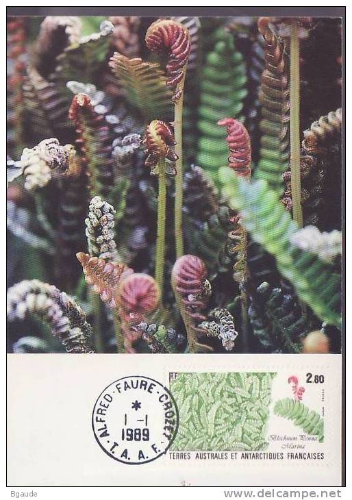 FRANCE   TAAF CARTE MAXIMUM NUM.YVERT 143  FLORE  BLECHNUM PENNA MARINA - Covers & Documents