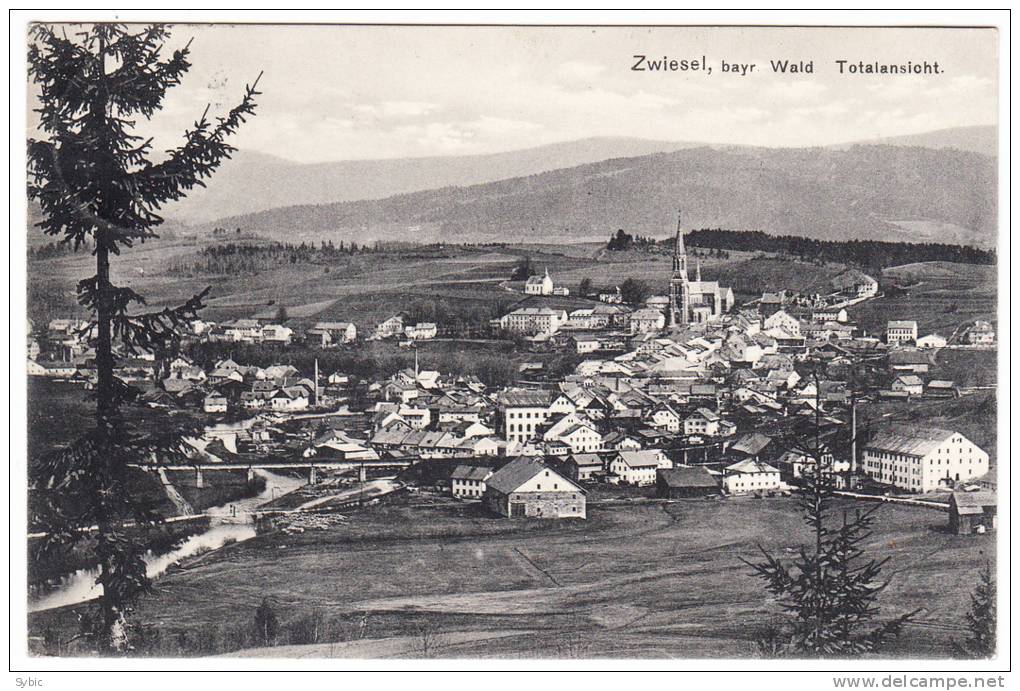 ZWIESEL - Totalansicht - 1917 - Zwiesel