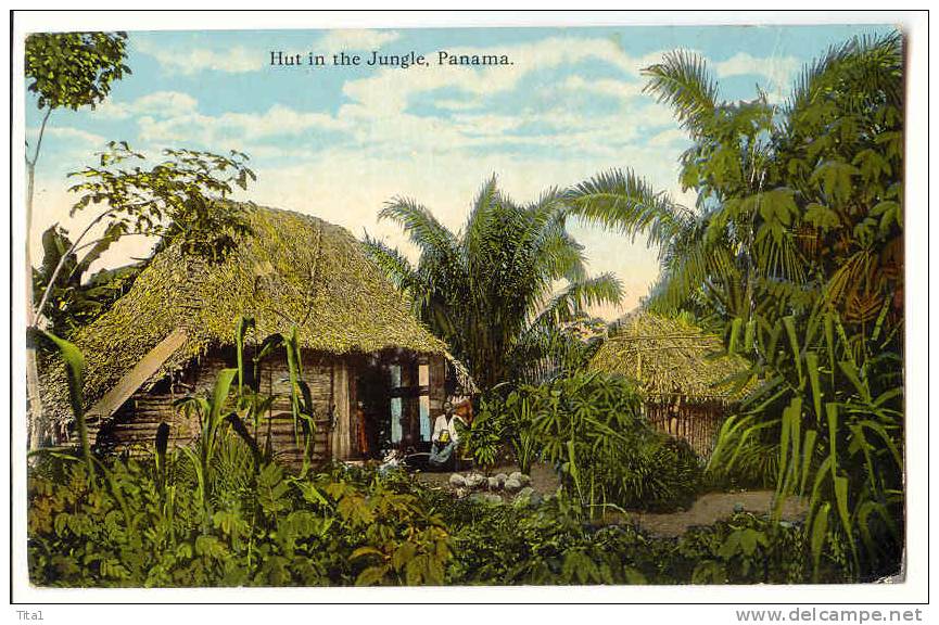 D9345 - Hut In The Jungle - Panamá