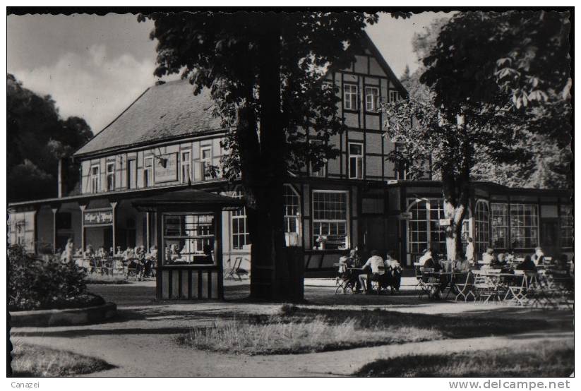 AK Treseburg Im Bodetal, HOG "Weißer Hirsch", Um 1967 - Thale