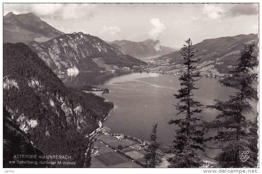 Österreich > Ober&#337;sterreich, Attersee Mit Unterach Am Schafberg, Dahinter Mondsee, 1958,gelaufen Nein - Attersee-Orte