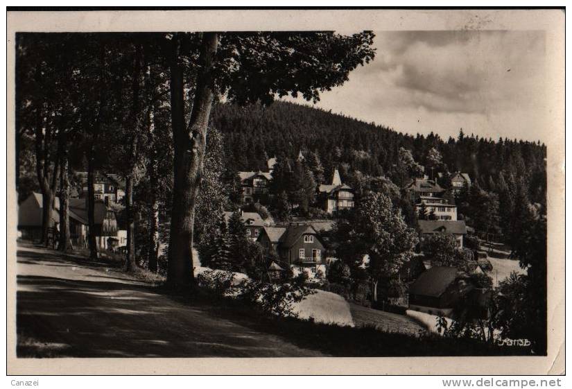 AK Bärenfels/Osterzgebirge, Spitzberg, Fotoabzug 1953 - Kipsdorf