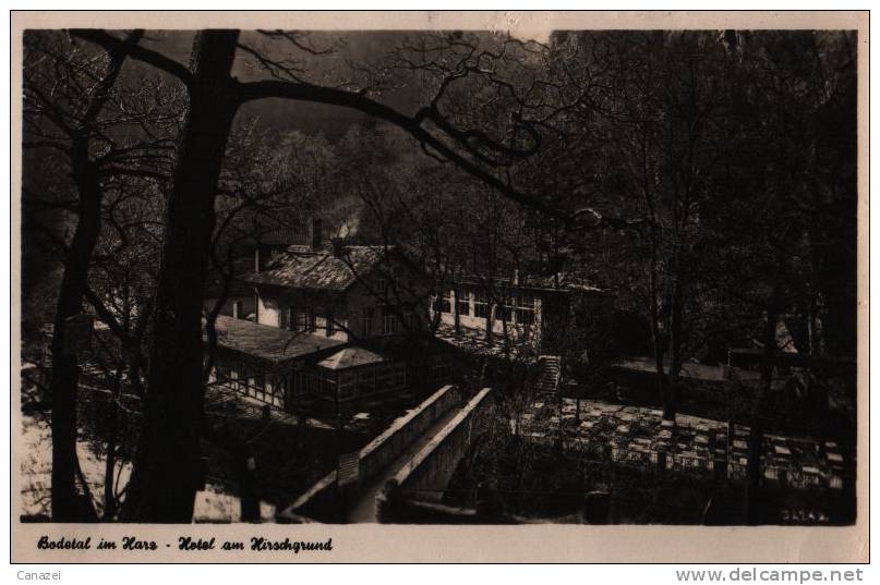 AK Bodetal/Harz, Hotel Am Hirschgrund, 1953 - Thale