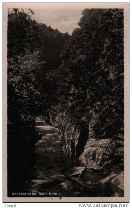 AK Thale/Harz, Bodekessel, 1951 - Thale