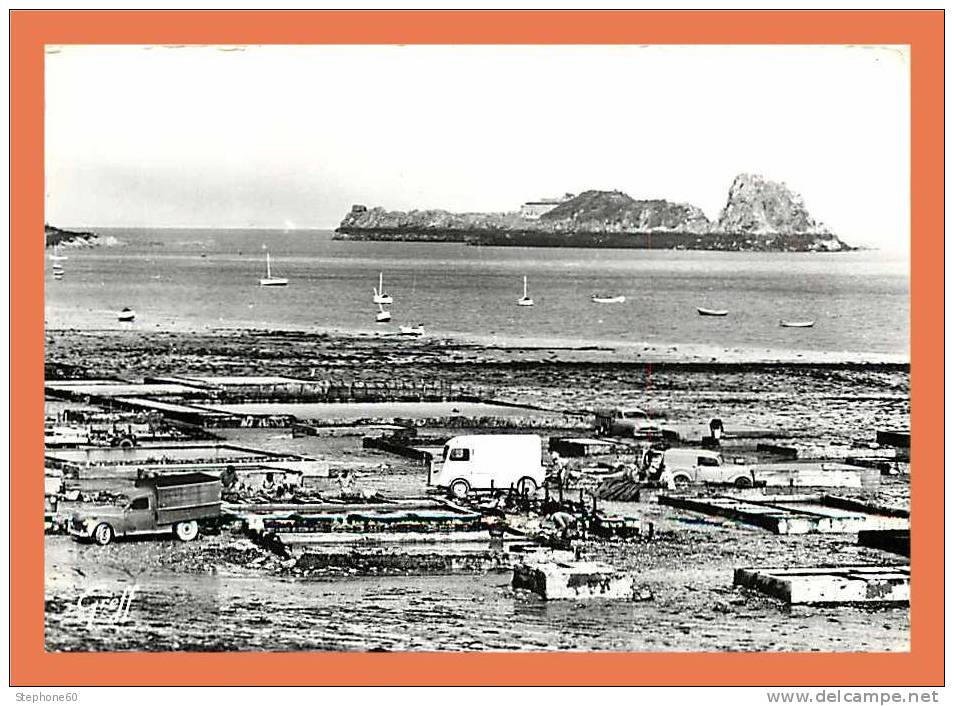 35 - CANCALE - Les Parcs à Huitres Et Le Rocher ( Automobile - Voiture ) // CPSM Dentellée (135) - Cancale