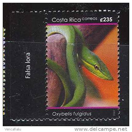 Costa Rica 2007 - Oxybelis Fulgidus, 1 Stamp, MNH - Snakes