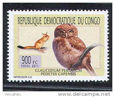 Congo 2011 - Pedetes Capensis And Owl, 1 Stamp, MNH - Nager
