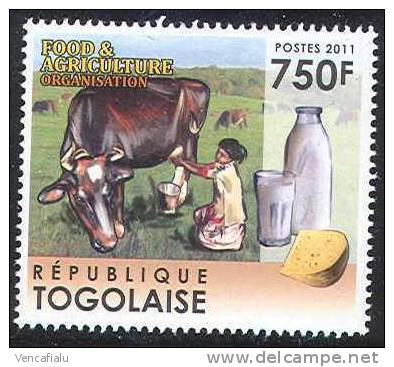 Togo 2011 - Cow, Farm, 1 Stamp, MNH - Vaches