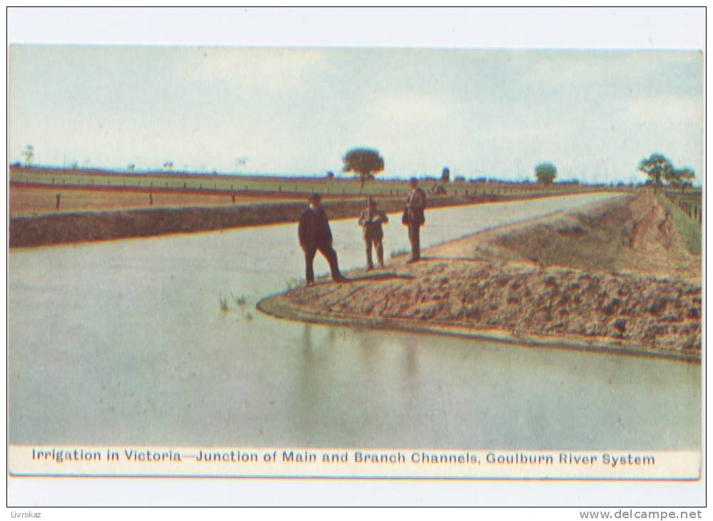 Australie, Irrigation In Victoria, Junction Of Main And Branch Channels, Goulburn River System, Canaux - Sonstige & Ohne Zuordnung