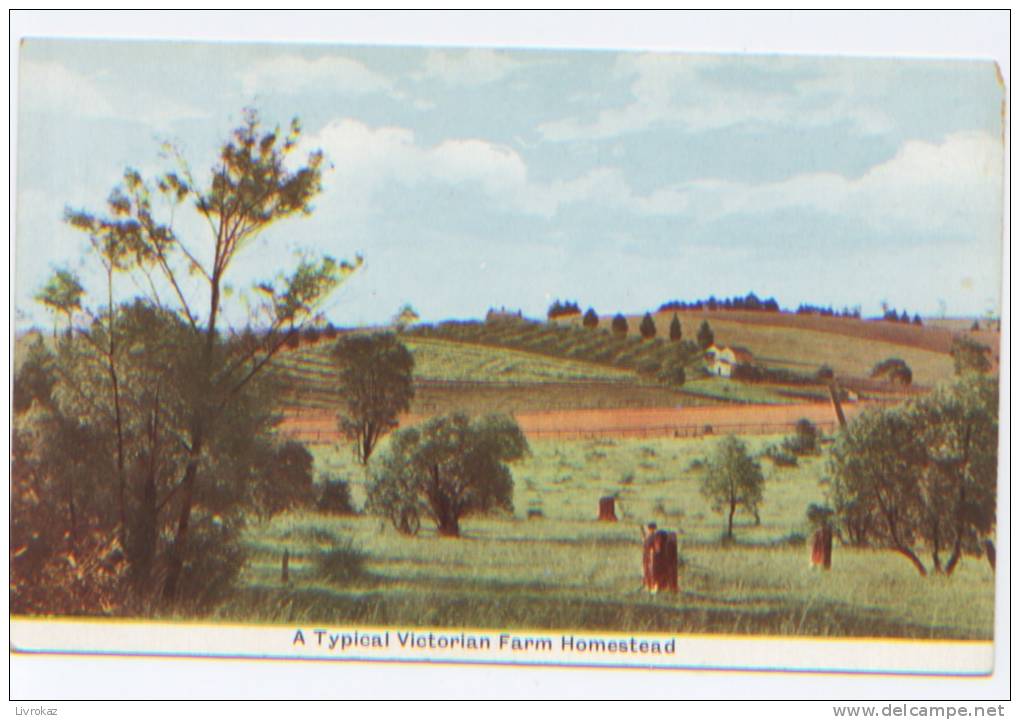 Australie, A Typical Victorian Farm Homestead. Ferme, Agriculture, Victoria - Altri & Non Classificati