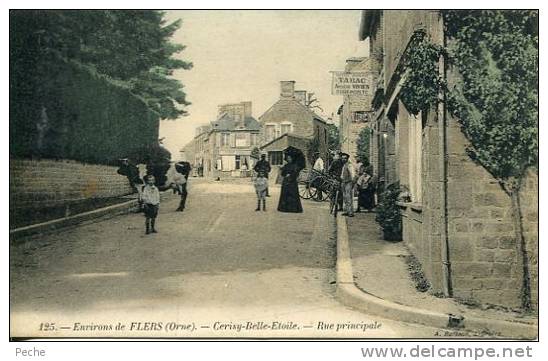 N°16955 -cpa Environs De Flers -Cerisy Belle Etoile-rue Principale- - Gares - Avec Trains