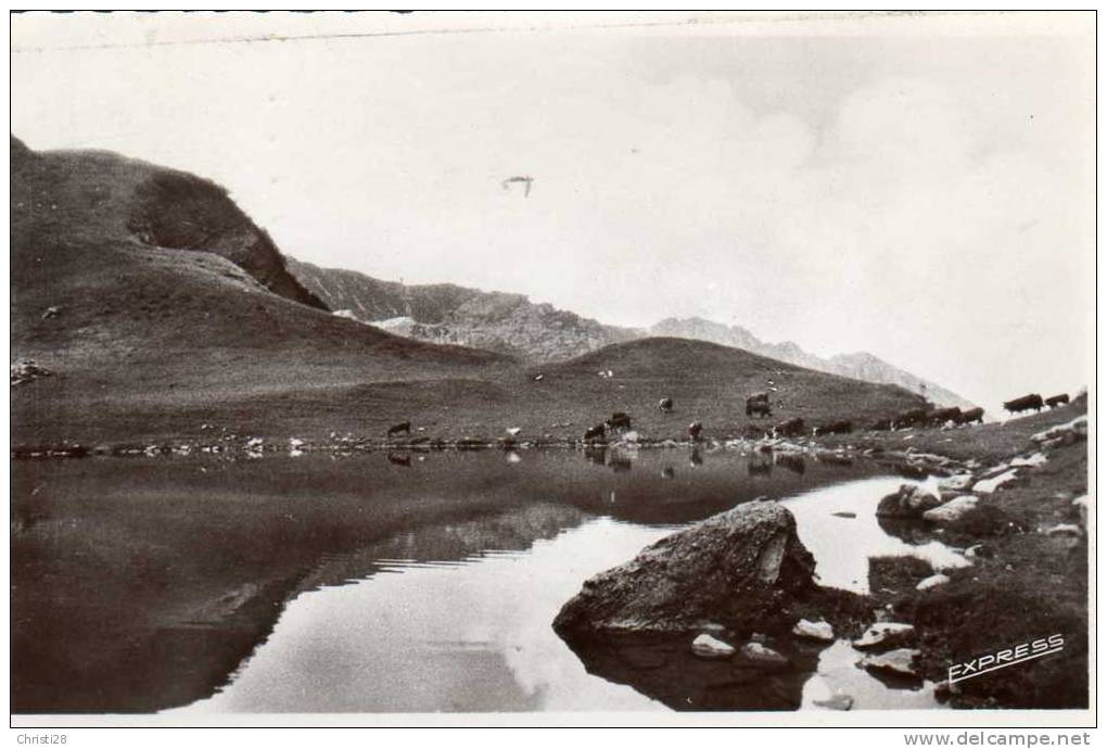 DPT 74 ABONDANCE Lac De Tavaneuse - Abondance