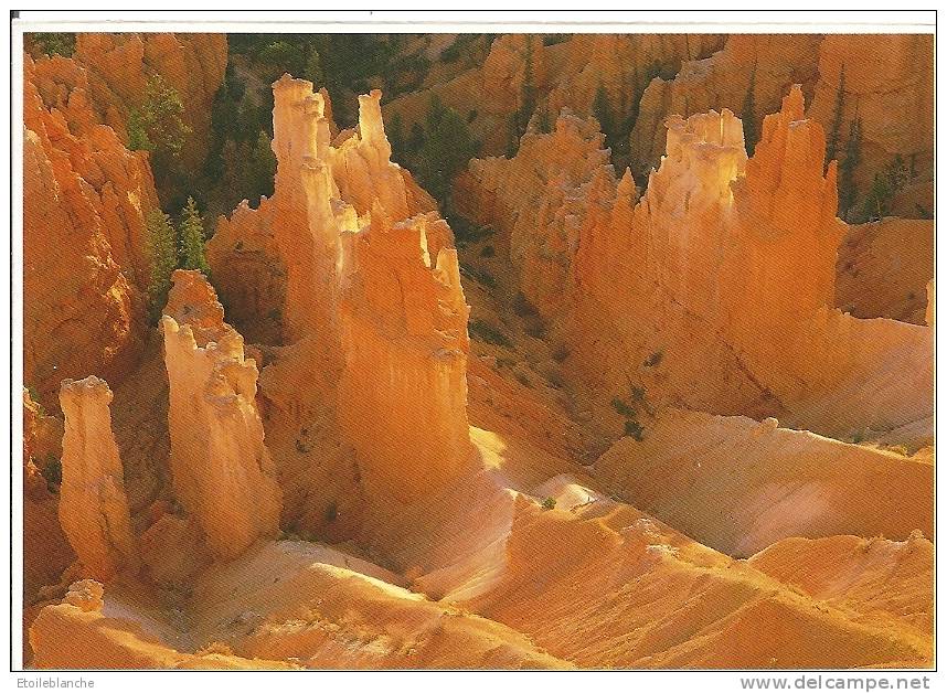 CPM Bryce Canyon, National Park, Utah / Roches Colorées / Pink Cliffs / Curiosité Géologique - Bryce Canyon