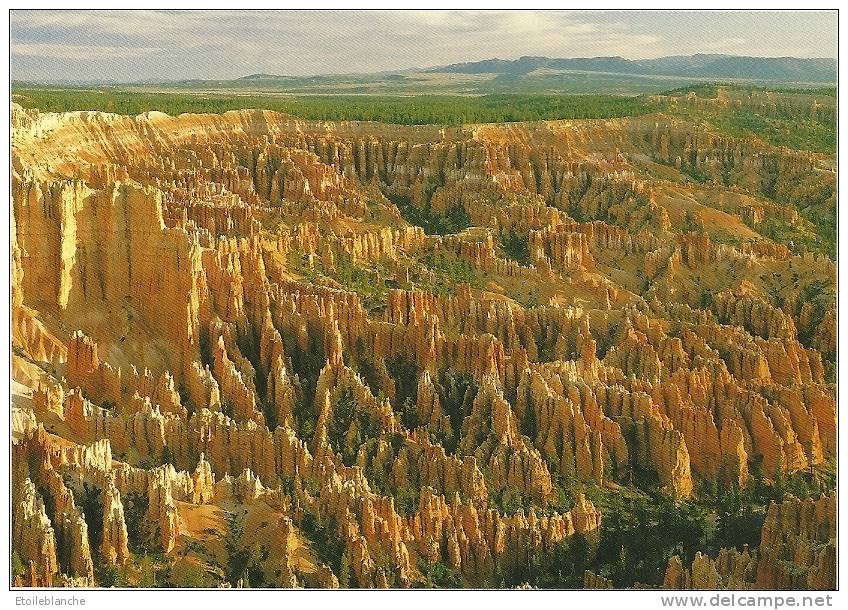 CPM Bryce Canyon, National Park, Utah / Amphitheater, Pink Cliffs / érosion, Géologie, Roches Colorées - Bryce Canyon