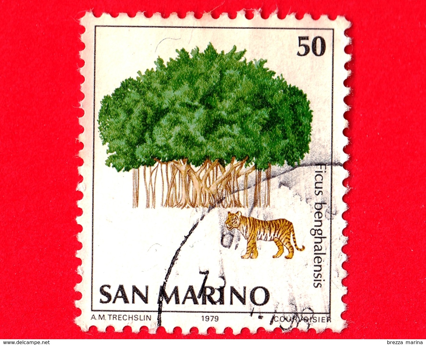 SAN MARINO - Usato - 1979 - Natura Da Salvare - Ficus Benghalensis - 50 L. - Usados