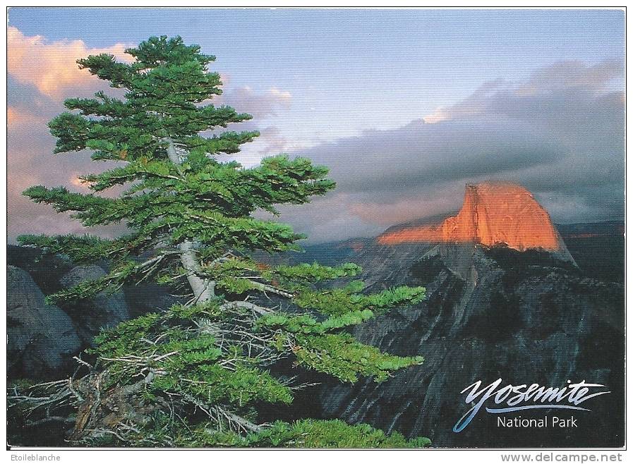 CPM USA  California Yosemite National Park / Granite Monolith, From Glacier / Beau Point De Vue, Soleil - Yosemite